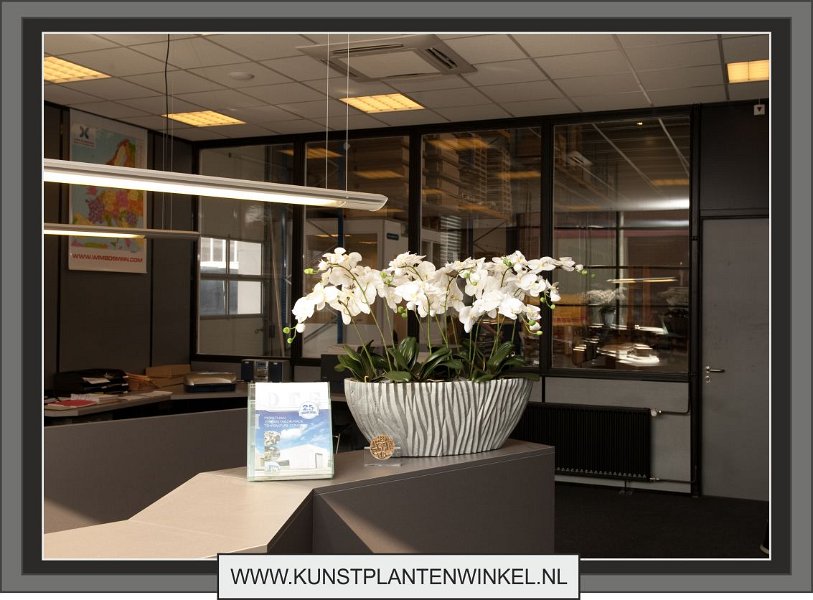 orchideeen in zilver river ovaal